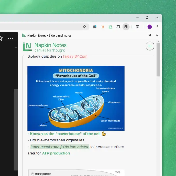 Napkin Notes square view